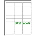 thumbnail image 1 of duomi-30 UP Labels 1"x2-5/8" Mailing Labels Shipping Address FBA Labels for Laser/Inkjet Printers, White Blank Sticker Name Tags, Printable Label for 5160 Printer, (100 Sheets, 3000 Labels), 1 of 4