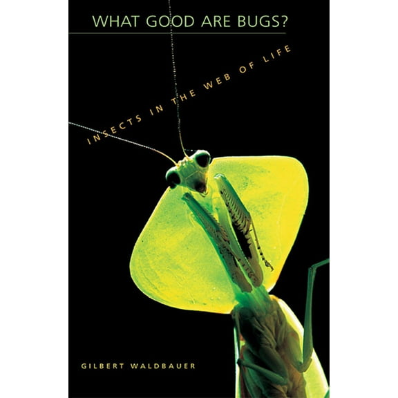 What Good Are Bugs?: Insects in the Web of Life (Paperback)
