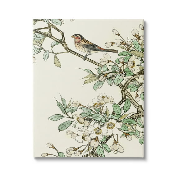 Stupell Industries Traditional Dogwood & Bird Botanical & Floral Painting Gallery Wrapped Canvas Art Print Wall Art, 16 x 20