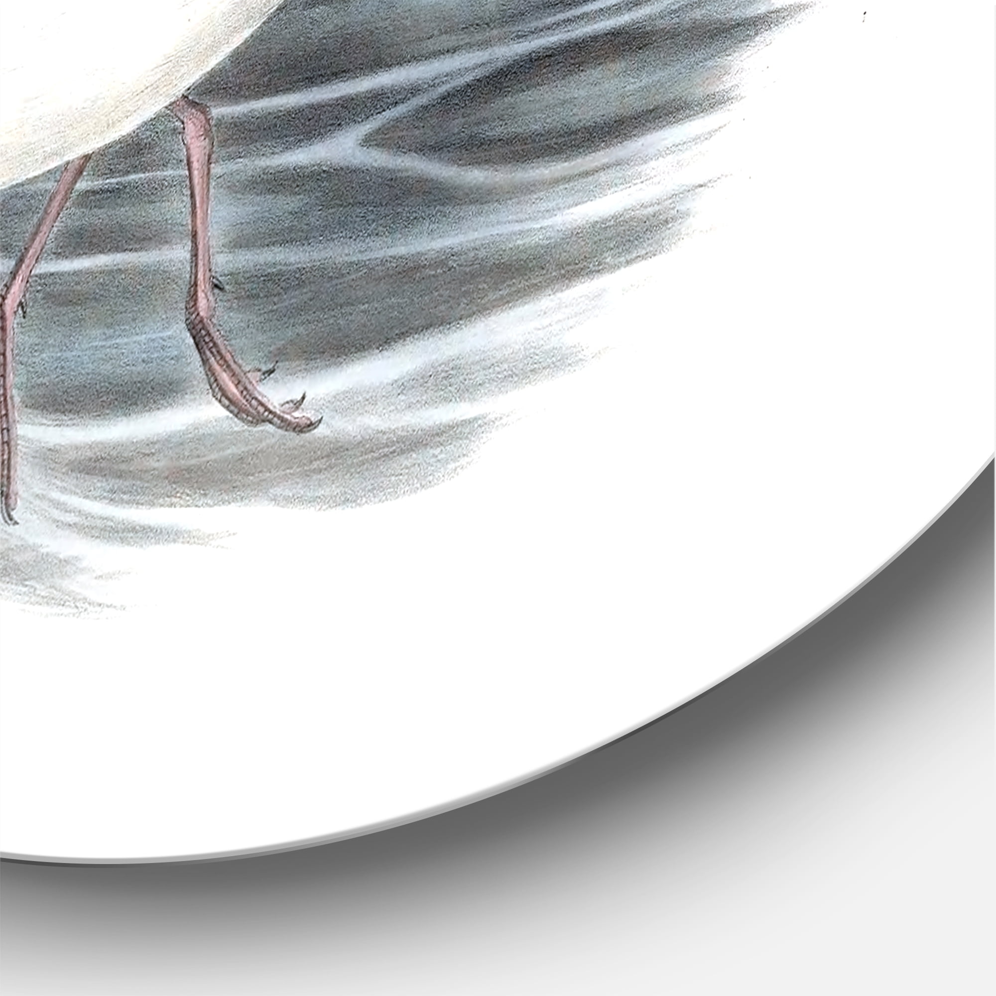 Designart 'Ancient Australian Birds X' Traditional Circle Metal Wall Art 23x23 - Disc of 23