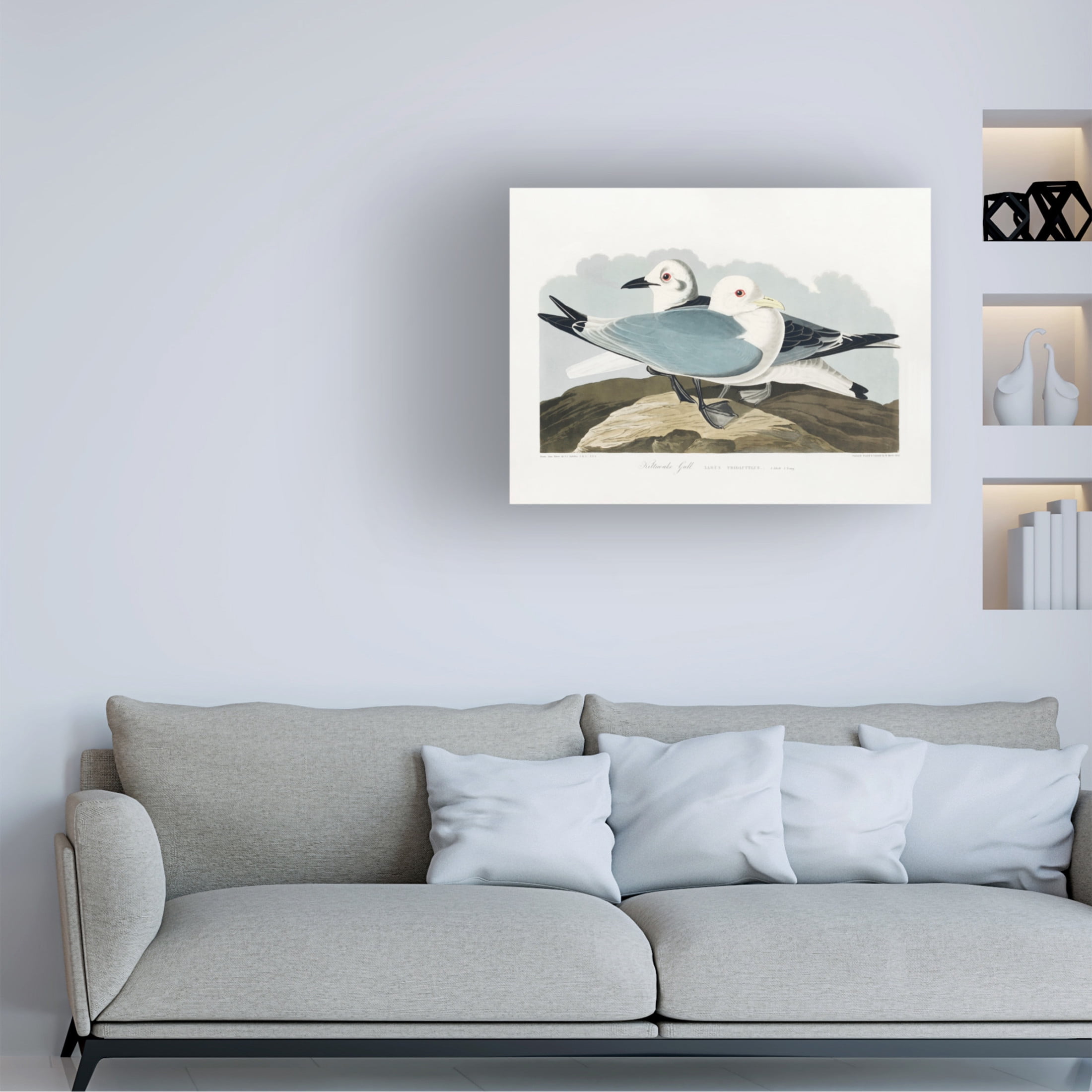 Trademark Fine Art Pictufy Kittiwake Gull From Birds of America 1827 Canvas Wall Art