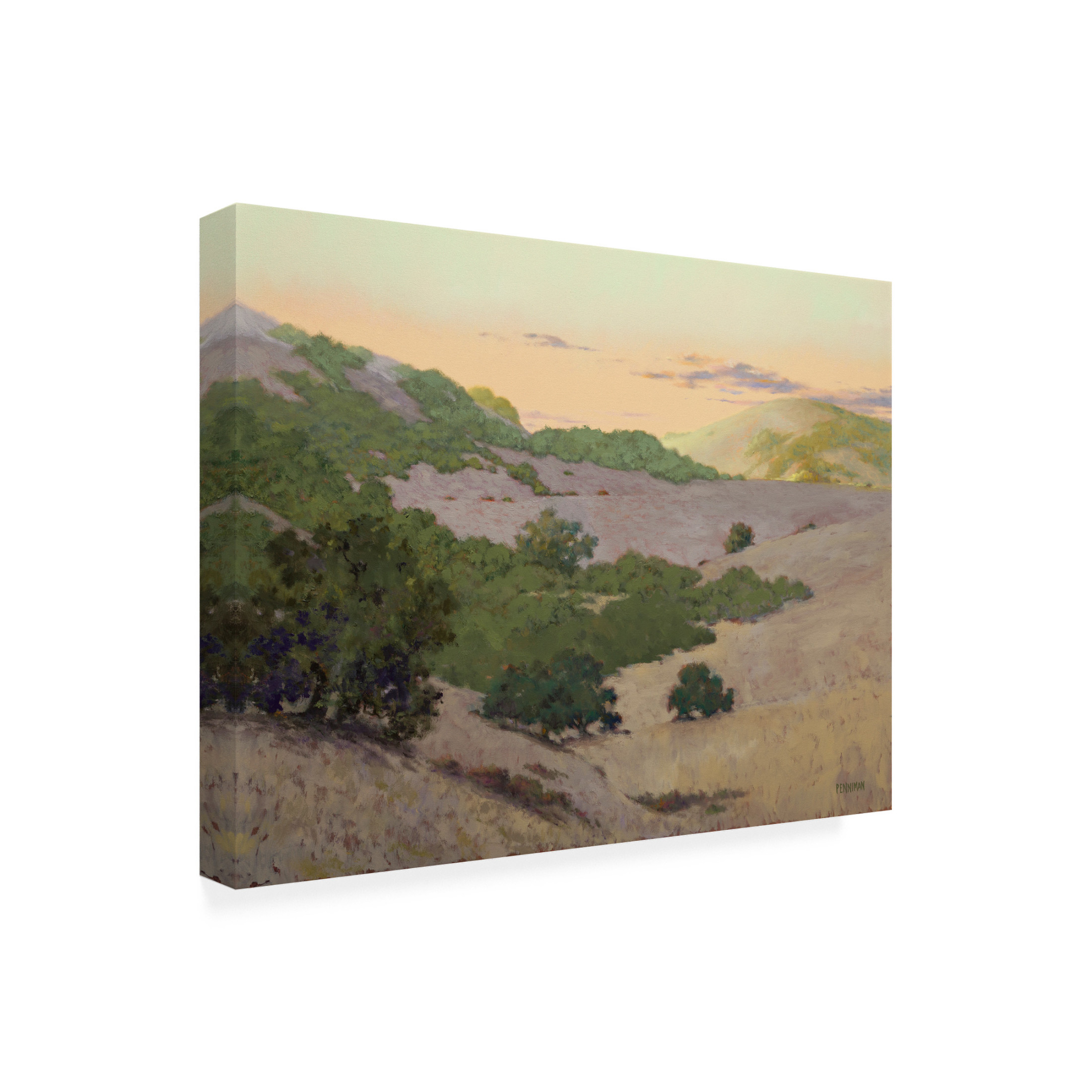 Canvas Wall Art - Ed Penniman 'San Juan Bautista Hills' Wall Art for Living Room, Bedroom, or Office Décor by Trademark Fine Art - 24 x 18 Inches
