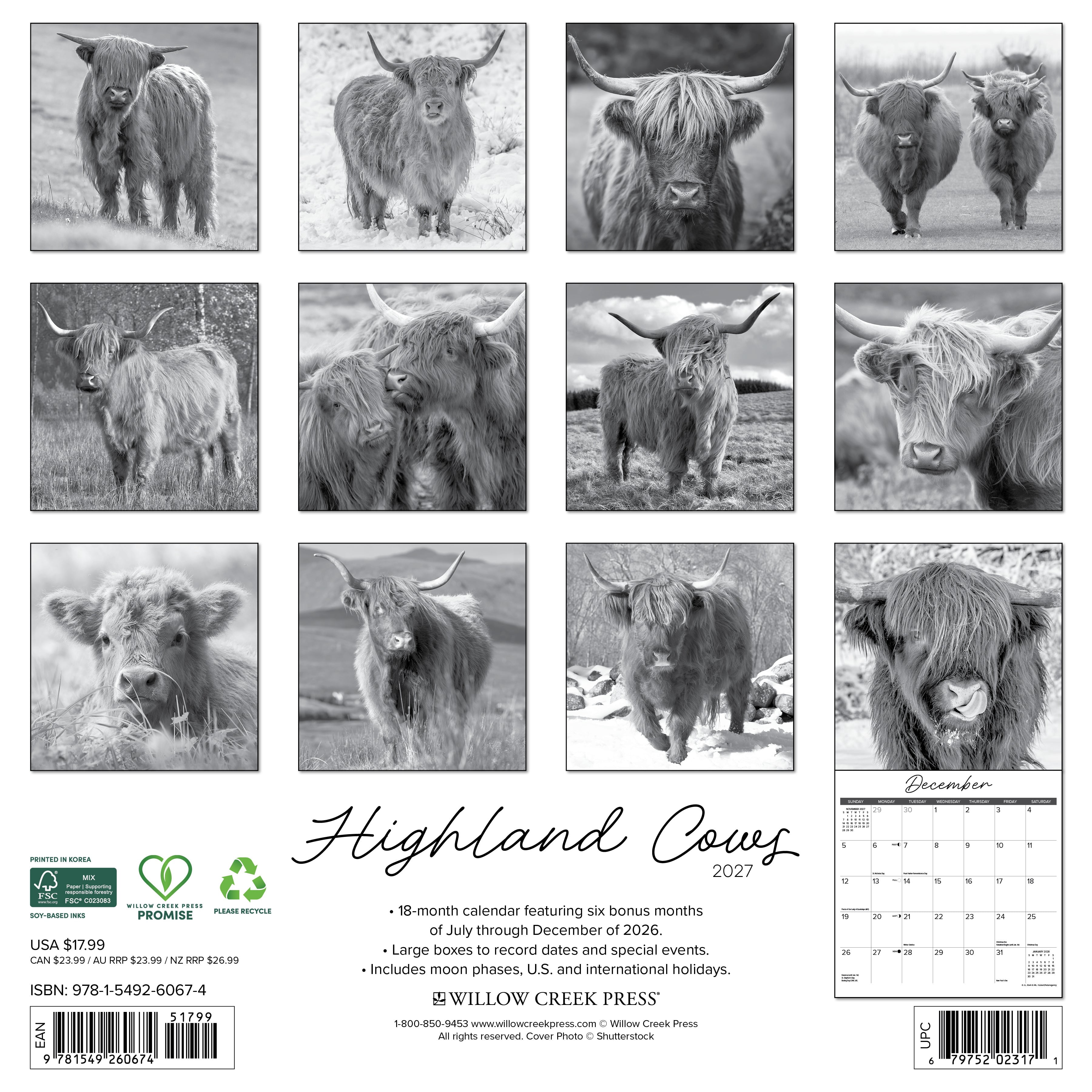 Willow Creek Press, Highland Cows (B&W) 2027 Wall Calendar