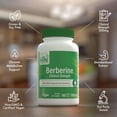 thumbnail image 4 of Berberine HCl 500mg  Vegan Certified | Clinical Strength - 60 Vegecaps | Blood Sugar Support | 3rd Party Tested | All Plant Extract | Non-GMO, Gluten Free, Soy Free | by Health Thru Nutrition, 4 of 6