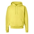 thumbnail image 1 of Hanes Ecosmart Hoodie Sweatshirt for Men, 1 of 1