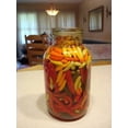thumbnail image 5 of 50 Graines de Piment TABASCO Rouge Capsicum Fruitescens Légumes, 5 of 5