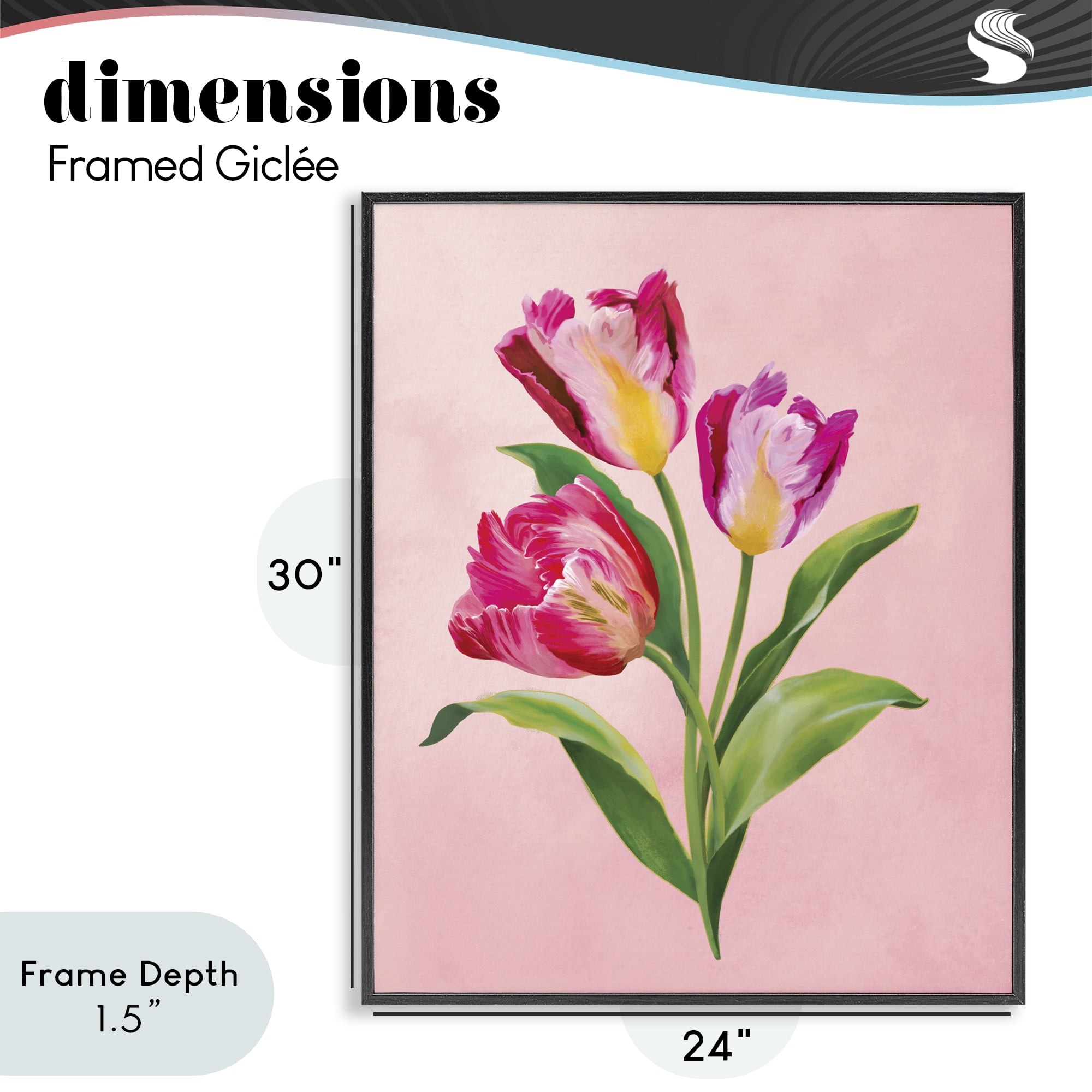 Stupell Industries Vibrant Magenta Tulips Black Framed Giclee Art, design by Diane Neukirch