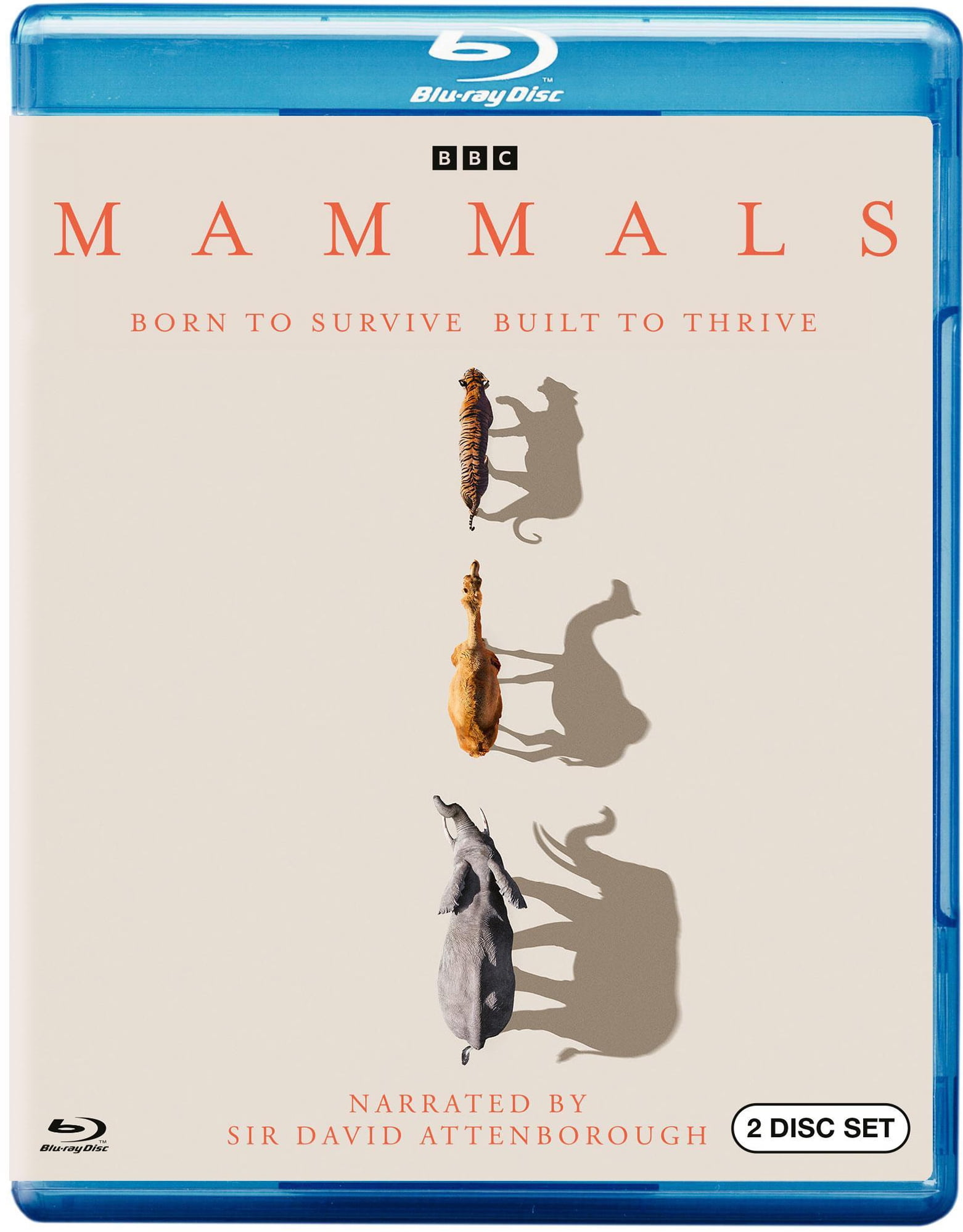 BBC, Kingdom Blu-ray, Wildlife Drama, Animal Families in Zambia