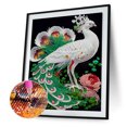 thumbnail image 2 of Cuadros Decorativos 5D bricolaje en forma especial parcial taladro diamante pintura pavo real Kit decoración (YX100) Wdftyju  de costura negro 4 estilos, 2 of 9