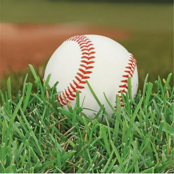 creative converting 657963 napkins tableware items, 5"x5", multicolor