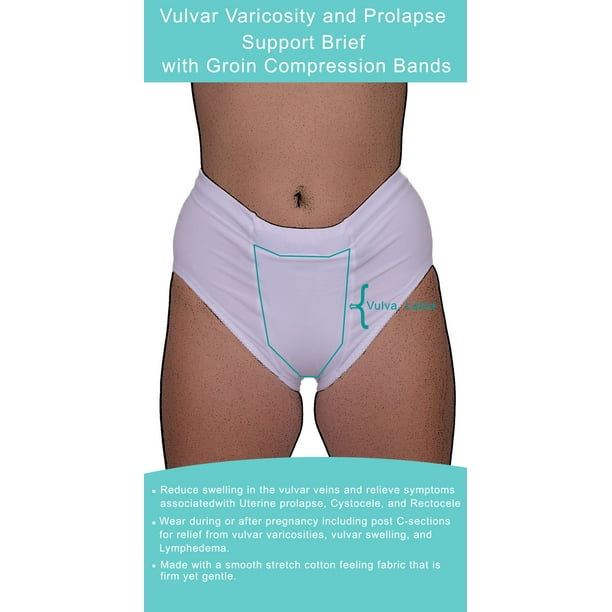 Vulvar Varicosity and Prolapse Support Brief with Groin