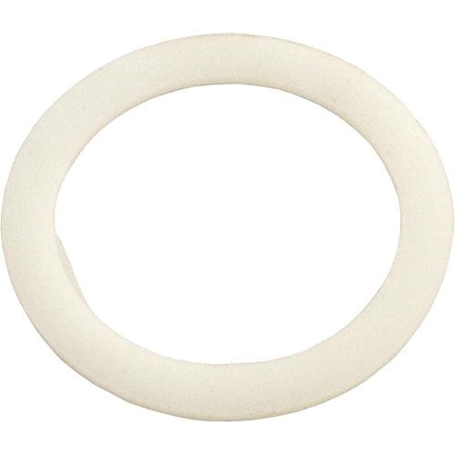 Sta-Rite Replacement Washer 14971-SM10E8