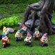 thumbnail image 2 of Figura de gnomos de jardín, 7 piezas de estatuas de gnomos de hadas de resina, figura de gnomo de jardín de hadas en miniatura, gnomo de jardín, se puede utilizar para mesa de comedor, 2 of 5