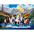 thumbnail image 1 of Cuadros Decorativos (DF3649) 5D DIY taladro completo diamante pintura caballo bordado mosaico Craft Kit (w703) 40x50cm Likrtyny embutido en tela, 1 of 1