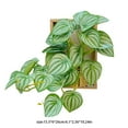 thumbnail image 3 of TIMIFIS Wooden Hanging Decorations, Wooden Rectangular Photo Frame Hanging Decorations High Class Feeling Living Room Green Wall Decorations Faux Rattan Wall Decorations Home Decor, 3 of 6