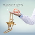 thumbnail image 4 of Amdohai Adjustable Tooth Articulator Articulator for Lab Dentist Equipment Tool Optional Size, 4 of 4