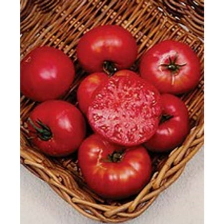 TOMATO MORTGAGE LIFTER Great Heirloom GARDEN Vegetable 30 (Best Boy Tomato Seeds)