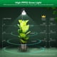 thumbnail image 2 of Luz de Crecimiento para Plantas SANSI 30W Espectro Completo Trípode 76-140cm, 2 of 9