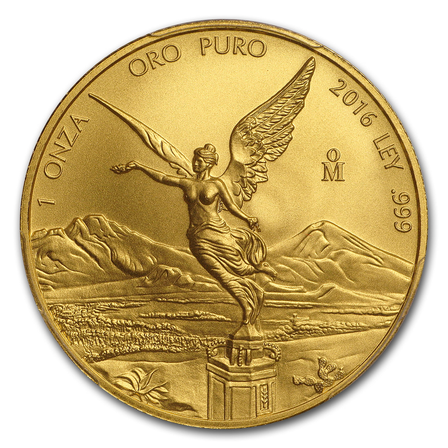2016 Mexico 1 oz Gold Libertad MS-69 PCGS (Green Label) - Walmart.com