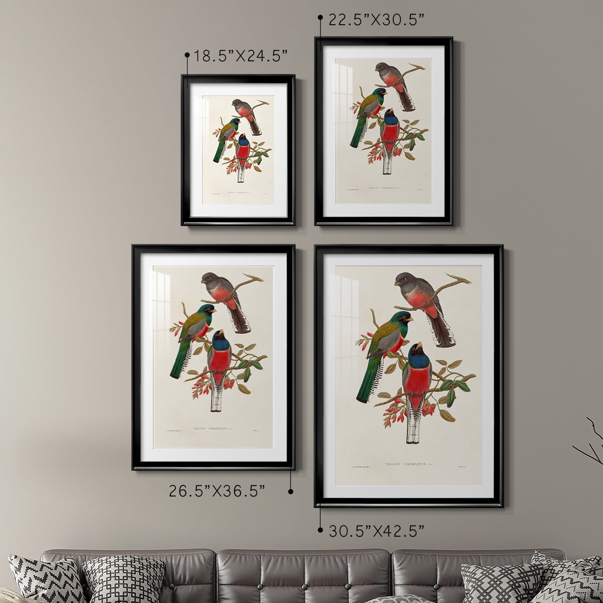 Wexford Home Elegant Trogons IX Premium Framed Print, 26.5" x 36.5" - Ready to Hang, Black (Set of 2)
