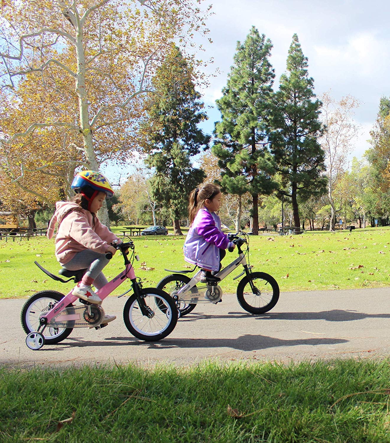nicec bmx bike
