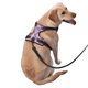 thumbnail image 2 of Fotbe Purple Butterflies Floral Arnés para Perro con Estampado –Chaleco Ajustable Acolchado con Asa de Control para Perros Grandes-Small, 2 of 6