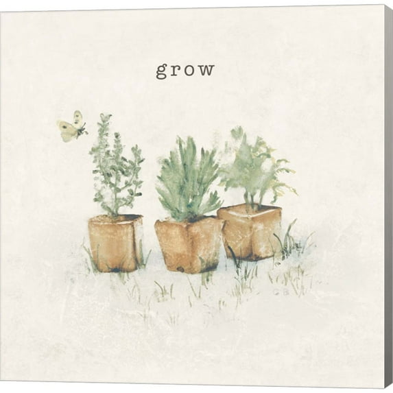 Great Art Now Garden Plants by Cheri Blum, Canvas Wall Art, 12W x 12H