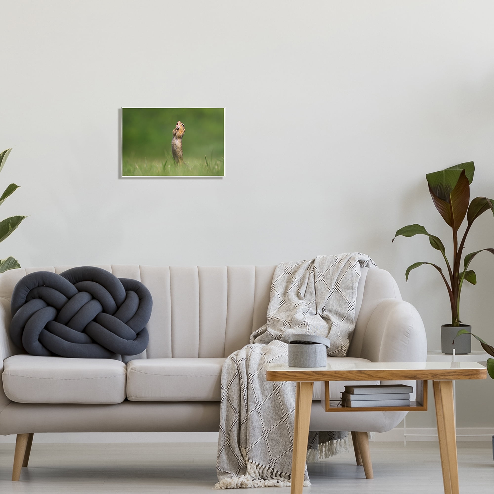 Stupell Industries O Sole Mio Funny Animal Animals & Insects Photography Unframed Art Print Wall Art, 15 x 10