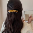 thumbnail image 3 of Xinwanna 4Pcs French Style Hairpins Tortoiseshell Design Women Hair Clips with Metal Springs Lightweight Hair Accessories (Type A), 3 of 13
