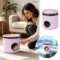 thumbnail image 2 of Nnndbs Small Pet Cooling Hideout House, Summer Cool Shelter with Reusable Ice Packs for Hamster Hedgehog Chinchilla Guinea Pig Cage, 2 of 4