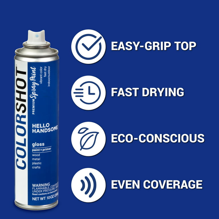 COLORSHOT Premium Multi-Surface Iridescent Multicolor Gloss Pixie Dust  Spray Paint - 8oz - Glitter 