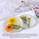 thumbnail image 4 of Flores Prensadas, 100 Piezas De Flores Prensadas Secas Para Resina, Estilos Variados, Detalles Ricos Vibrantes, Flores Prensadas Coloridas Multiusos Para Moldes De Joyería DIY, 4 of 8