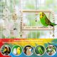 thumbnail image 3 of 7 Uds juguetes para masticar loros juguetes para pájaros, loros, periquitos, guacamayos, tortolitos, 3 of 5