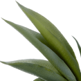 thumbnail image 4 of Bouclair Gray Artificial Aloe in Ceramic Pot, 4 of 6