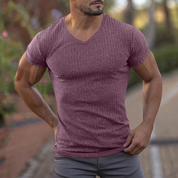 Mens V Neck T Shirts Short Sleeve Tees Tops Casual Solid Color Stretchy Slim Pullover Breathable Basic Athletic Workout Tshirts Shirt