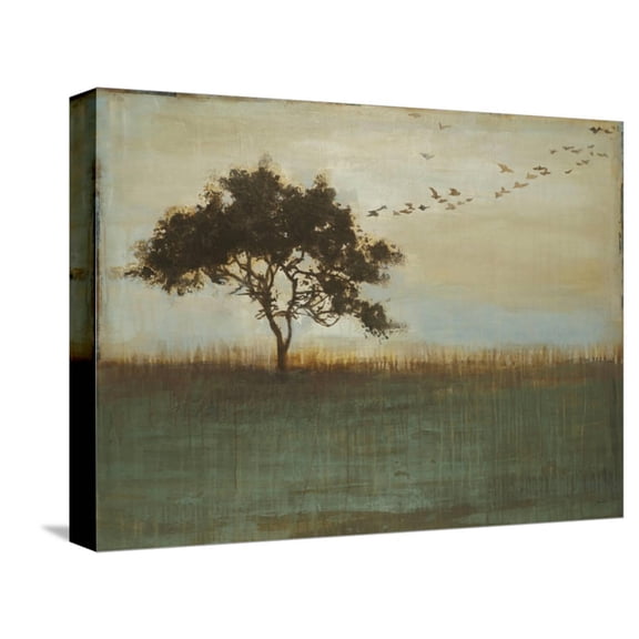 Art.com A Fleeting Glimpse Stretched Canvas Print Wall Art by Liz Jardine, 16" x 12"