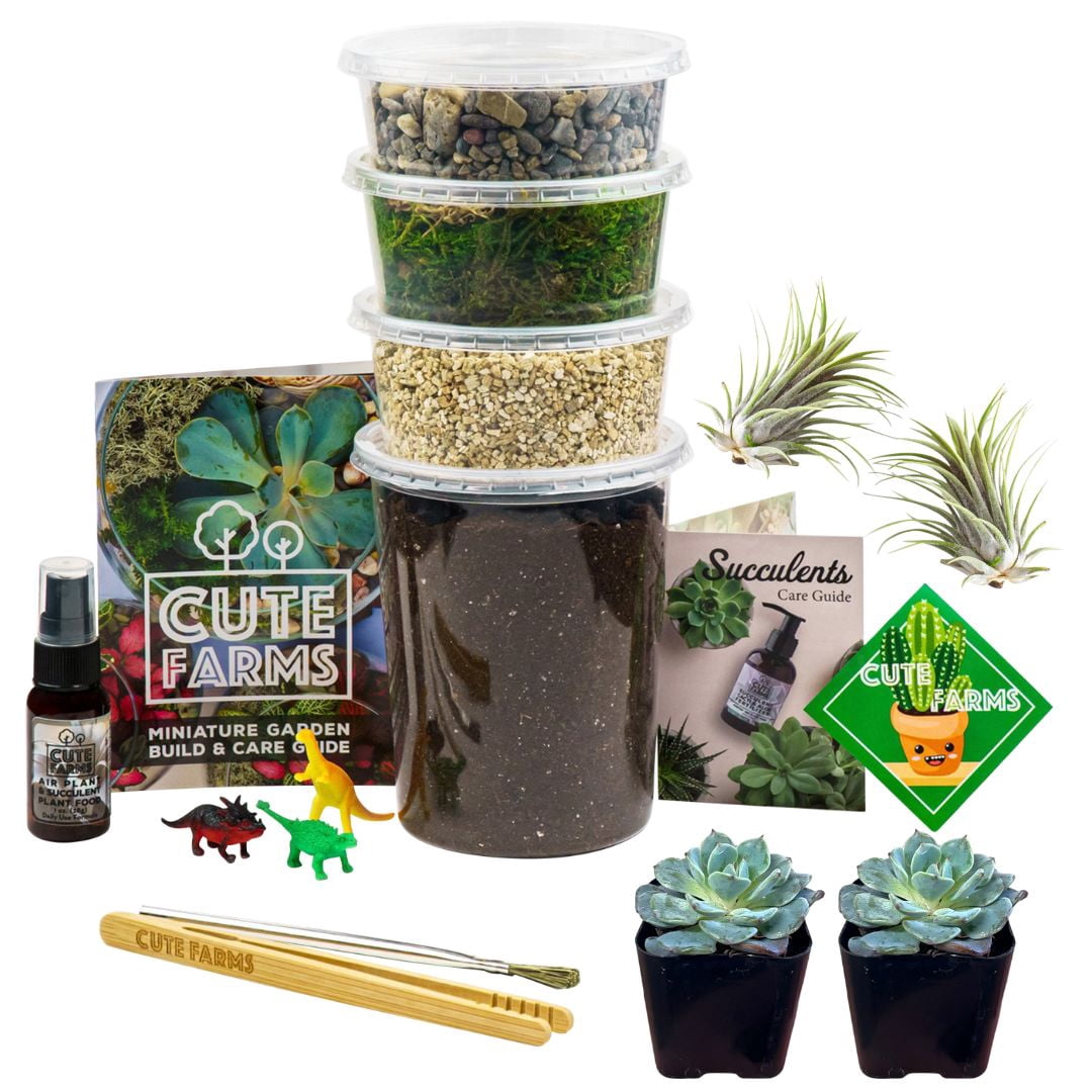 Cute Farms Terrarium Starter Kit | Moss, Vermiculite, Soil, Pebbles, Plant Food, Finishing Tools, Build and Care Guide | DIY Succulent Terrarium Kit for Adults and Kids (Large Kit + Live Plants)