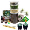 thumbnail image 3 of Cute Farms Terrarium Starter Kit | Moss, Vermiculite, Soil, Pebbles, Plant Food, Finishing Tools, Build and Care Guide | DIY Succulent Terrarium Kit for Adults and Kids (Large Kit + Live Plants), 3 of 7