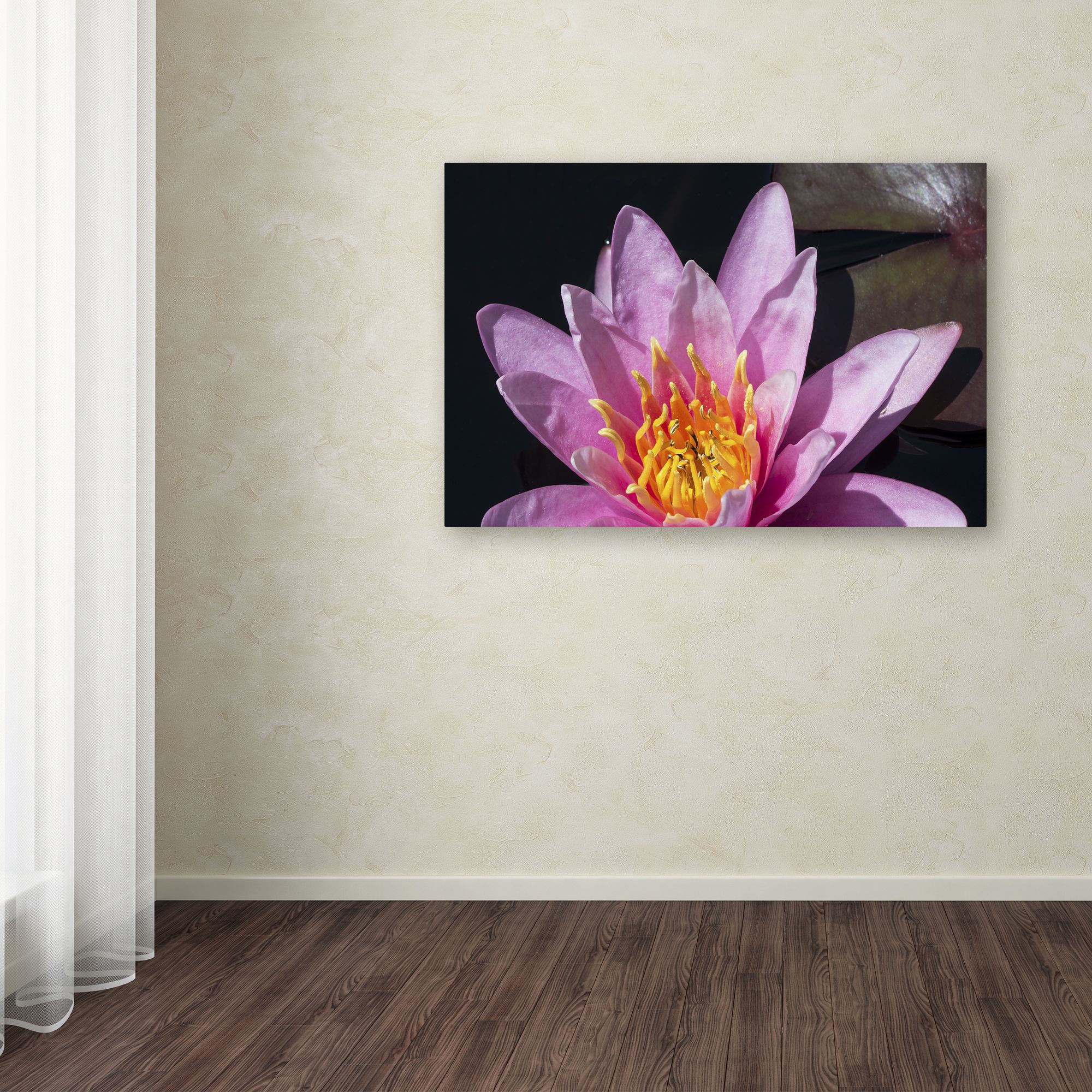 Trademark Fine Art "Pink Lotus" Canvas Art by Kurt Shaffer