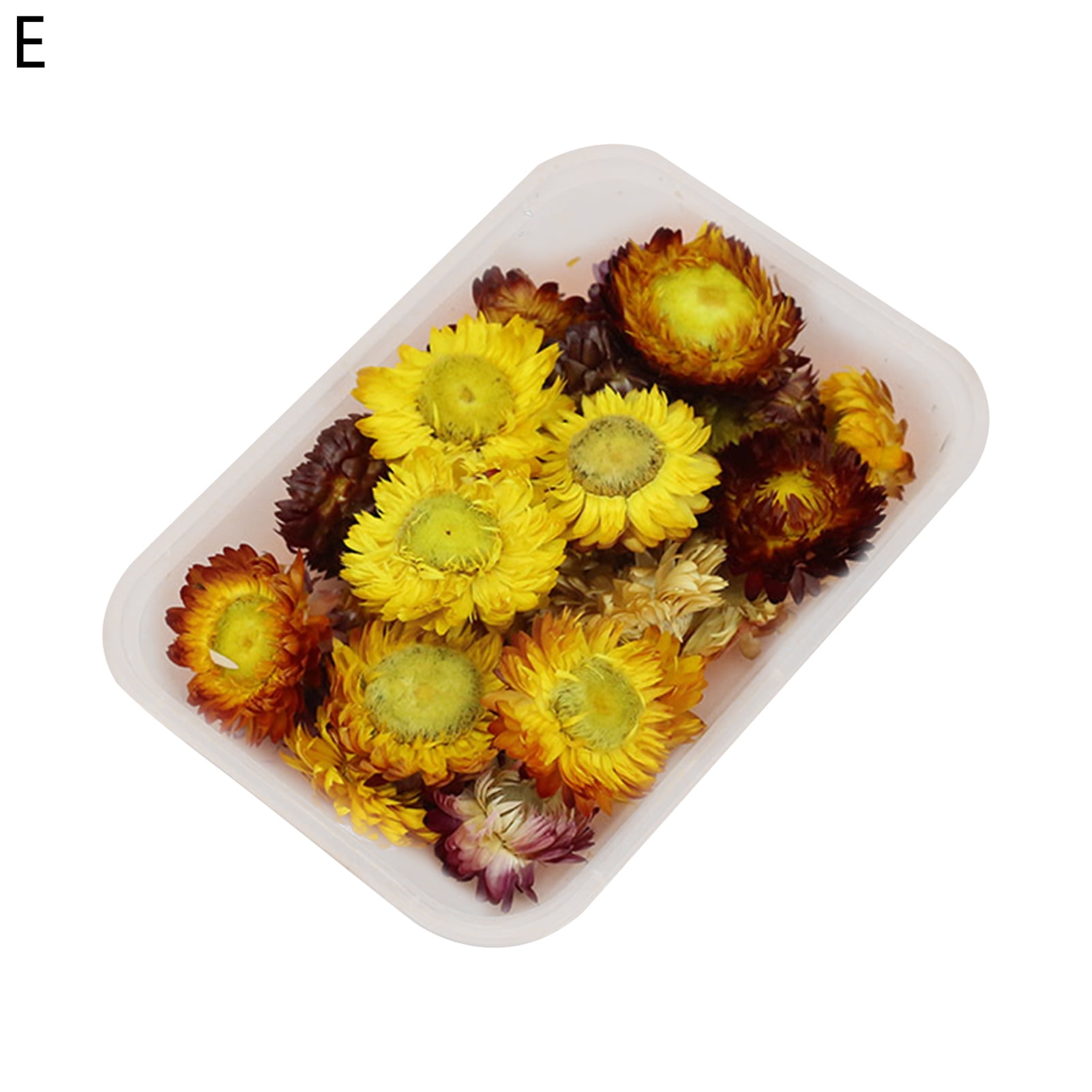 Visland 1 Box Real Mix Dried Flowers for Resin Jewellery Dry Plants