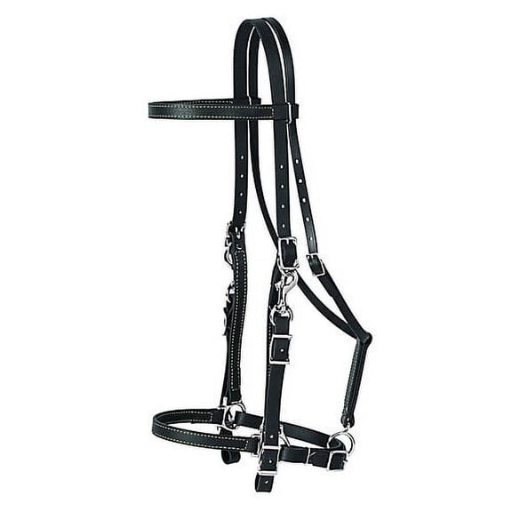 Weaver Leather Trail Gear Halter Bridle (Black, Horse)
