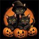 thumbnail image 1 of Pintura De Diamante 5D DIY Taladro Redondo Completo Kit De Gato De Calabaza De Halloween 40x40cm Negro, 1 of 9
