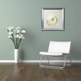 thumbnail image 3 of Trademark Fine Art "Turquoise Beach IV" Canvas Art by Color Bakery White Matte, Silver Frame, 3 of 4