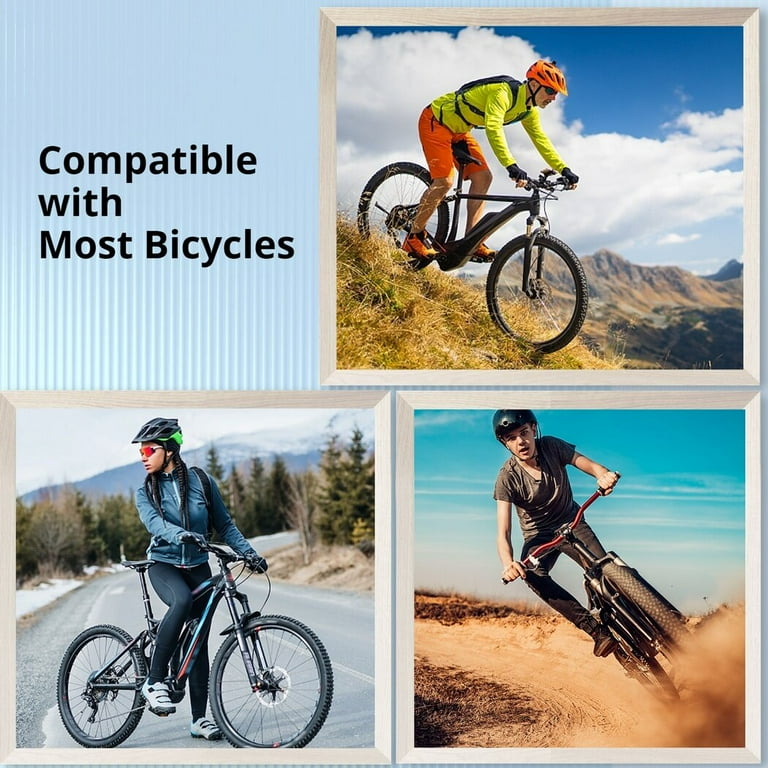 Beach cruiser best sale tubes