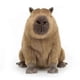 thumbnail image 2 of Capybara Plush, Stuffed Animal Toy, Gifts for Kids, 40cm, 2 of 5