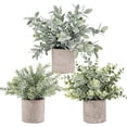thumbnail image 1 of Der Rose 3 Pack Mini Potted Fake Plants Artificial Plastic Eucalyptus Plants for Home Office Desk Room Decoration, 1 of 6