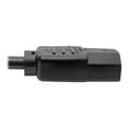 thumbnail image 2 of Eaton Tripp Lite Series PDU Power Cord, C13 to C14 - 10A, 250V, 18 AWG, 2 ft. (0.61 m), Black - Power extension cable - IEC 60320 C14 to power IEC 60320 C13 - AC 100-250 V - 10 A - 61 cm - black, 2 of 3