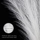 thumbnail image 4 of WEUVEB 6Ud Ramos Artificiales De Pampas Grass Con Cortos Para De Bodas Y Hogar, 4 of 6