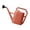 Brick red, variant on Lynono Co.,Ltd Gardening Watering Can Large Capacity Detachable Watering Kettle Household Long Mouth Gardening Watering Pot