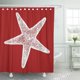 thumbnail image 1 of ABPHQTO Playa Estrella de mar roja Náutico Costero Sea Life Ocean House Cortina de ducha 160x180 cm, 1 of 1